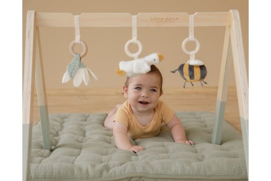 Babytrainer & Anhänger