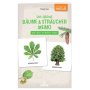 Bäume und Sträucher Memo