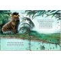 Coppenrath Kinderbuch Der wilde Rupp und der kleine Schisser