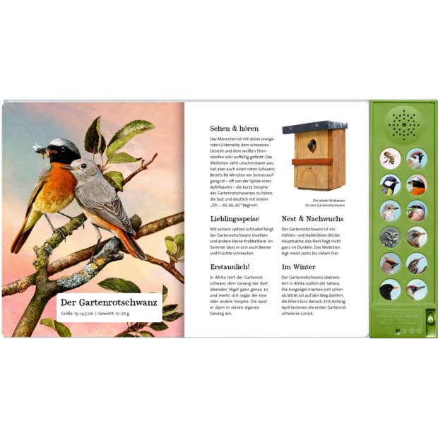 Coppenrath Was singt und summt im Apfelbaum? (Soundbuch)