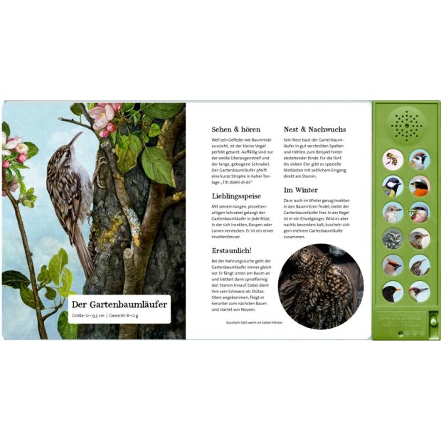 Coppenrath Was singt und summt im Apfelbaum? (Soundbuch)
