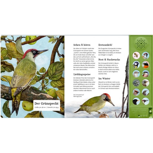 Coppenrath Was singt und summt im Apfelbaum? (Soundbuch)