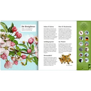 Coppenrath Was singt und summt im Apfelbaum? (Soundbuch)