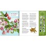 Coppenrath Was singt und summt im Apfelbaum? (Soundbuch)