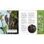 Coppenrath Was singt und summt im Apfelbaum? (Soundbuch)