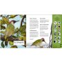 Coppenrath Was singt und summt im Apfelbaum? (Soundbuch)