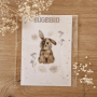 Buttercup Illustration Bügelbild - Hase A6