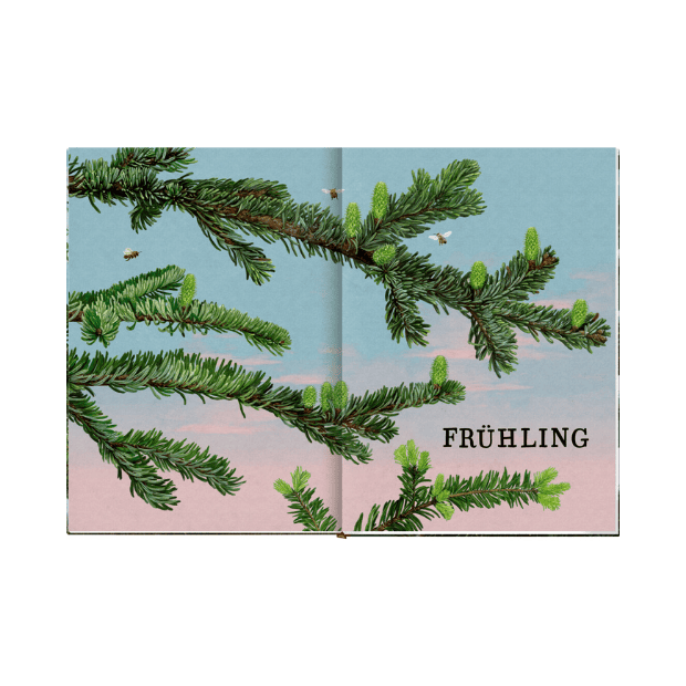 Coppenrath Das große Buch vom Tannenbaum