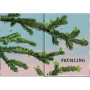 Coppenrath Das große Buch vom Tannenbaum
