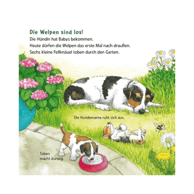 Carlsen Maxi Pixi 463 Entdecke die Tierkinder