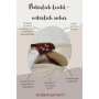 Hobea Krabbelschuhe - Schildkröte beige