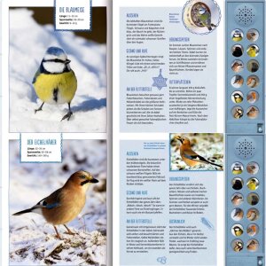 Coppenrath Buch - Vögel im Winter bei dir zu Gast...