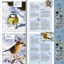 Coppenrath Buch - Vögel im Winter bei dir zu Gast (Soundbuch)