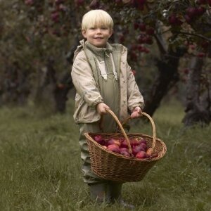 CeLaVi Basic - Regenbekleidungsset Tiere natur olive