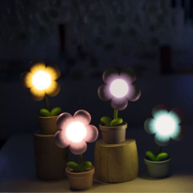 moses Mini-Blumenlampe Frühlingszauber - sortiert