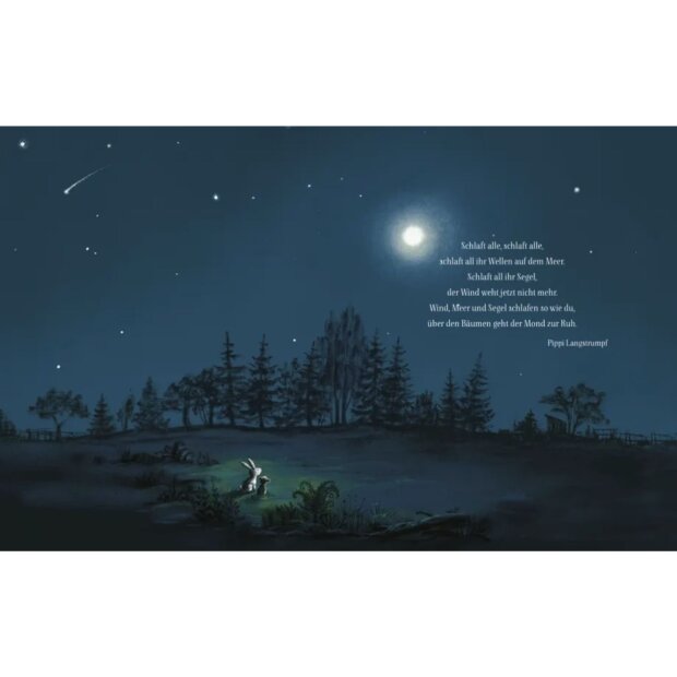 Oetinger Kinderbuch Gute Nacht mit Astrid Lindgren