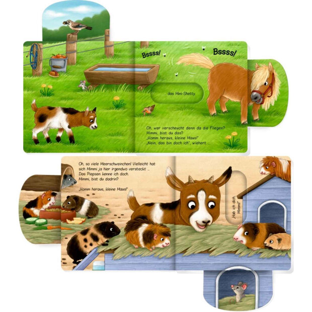 Coppenrath Kinderbuch - Komm heraus, kleine Maus! - Bist du im Streichelzoo?