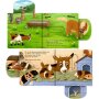 Coppenrath Kinderbuch - Komm heraus, kleine Maus! - Bist du im Streichelzoo?