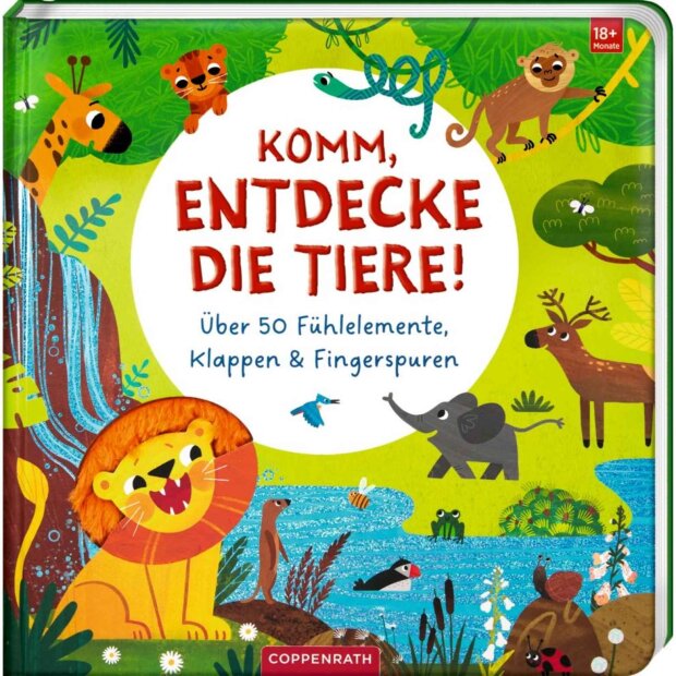 Coppenrath Kinderbuch - Komm, entdecke die Tiere! (Fühlen&begreifen)