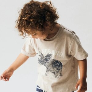 name it T-Shirt Dinosaurier beige - chateaugray