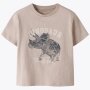 name it T-Shirt Dinosaurier beige - chateaugray