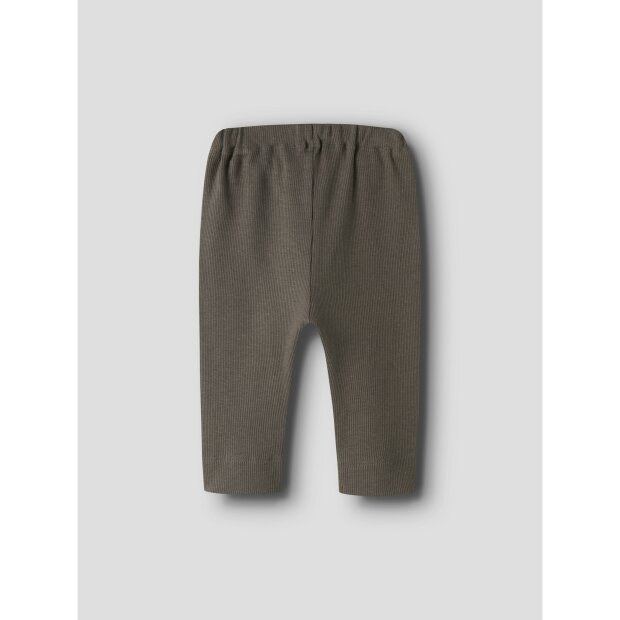 name it Hose Morel