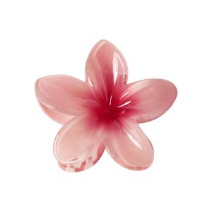 name it Haarklammer poinsettia
