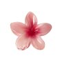 name it Haarklammer poinsettia