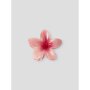 name it Haarklammer poinsettia