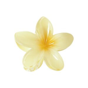 name it Haarklammer pear sorbet