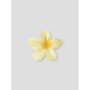 name it Haarklammer pear sorbet