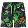 name it minecraft Shorts black