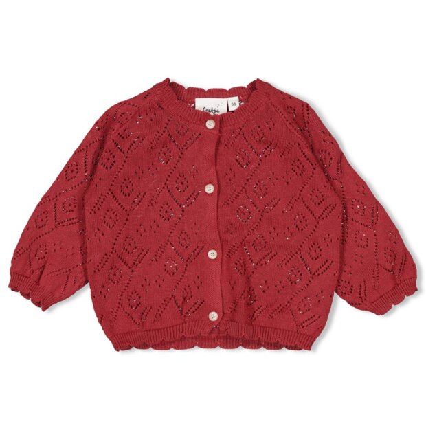 Feetje Baumwoll Strickjacke - Johannisbeere Marienkäfer