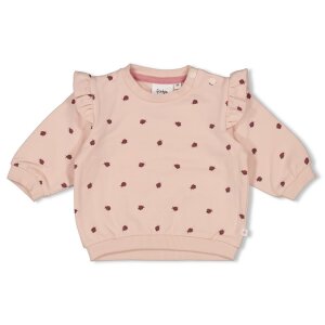 Feetje Bio- Baumwoll Sweater AOP - Rosa Marienkäfer