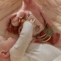 Little Dutch Stoff Activity Kuscheltier Flamingo Flora - Safari Friends