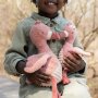Little Dutch Kuscheltier Flamingo Flora - Safari Friends 17cm