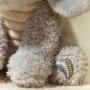 Little Dutch Kuscheltier Elefant Bo - Safari Friends 18cm