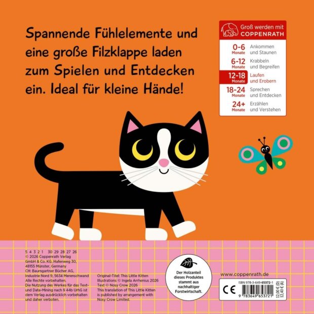 Coppenrath Kinderbuch - Mein Fühlbuch: Kleine Katze (Fühlen&begreifen)
