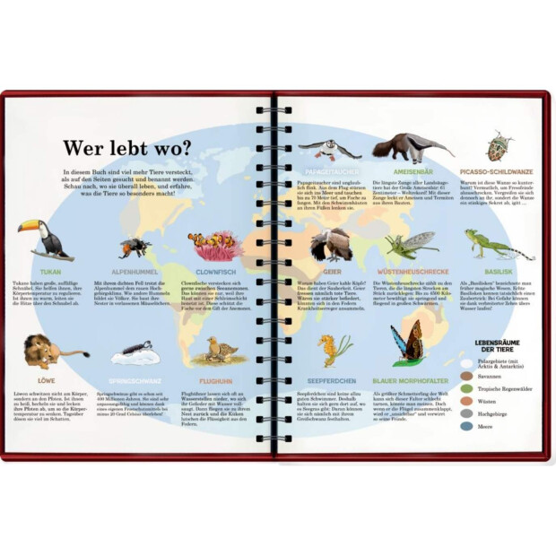 Coppenrath Kinderbuch - Mein riesengroßes WimmelSuchBuch: Tiere in aller Welt
