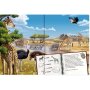 Coppenrath Kinderbuch - Mein riesengroßes WimmelSuchBuch: Tiere in aller Welt