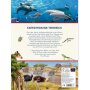 Coppenrath Kinderbuch - Mein riesengroßes WimmelSuchBuch: Tiere in aller Welt