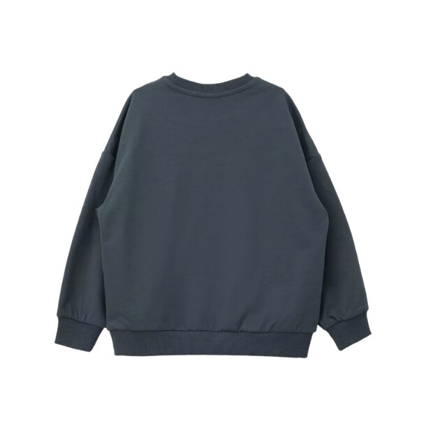 S.Oliver Unisex Oversized-Sweatshirt mit Label-Print - BLUE