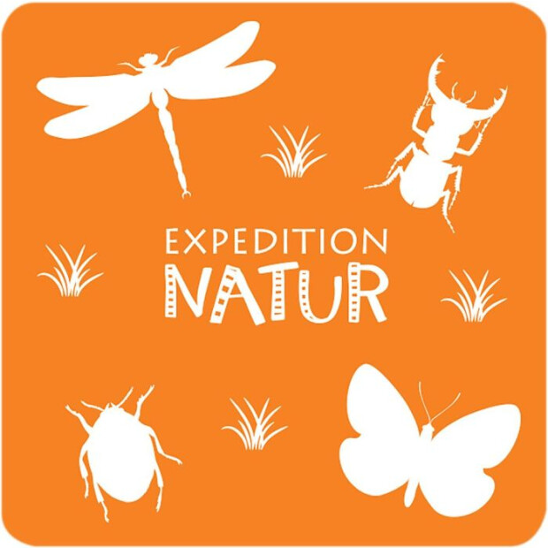 moses Expedition Natur - Das große Insekten Memo