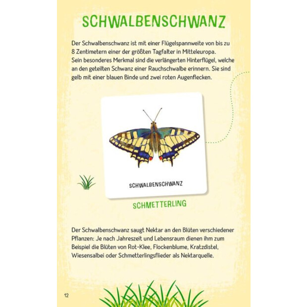 moses Expedition Natur - Das große Insekten Memo