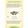 moses Expedition Natur - Das große Insekten Memo