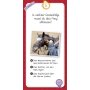 moses Das Quiz der Pferde und Ponys