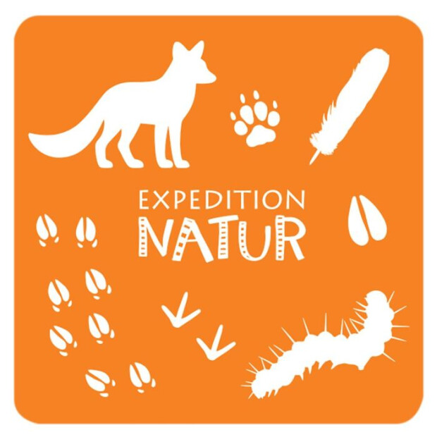 moses Expedition Natur - Das große Tierspuren Memo