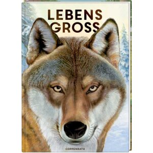 Coppenrath Kinderbuch Lebensgroß - Tiere des Waldes...