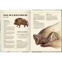 Coppenrath Kinderbuch Lebensgroß - Tiere des Waldes (Nature Zoom)