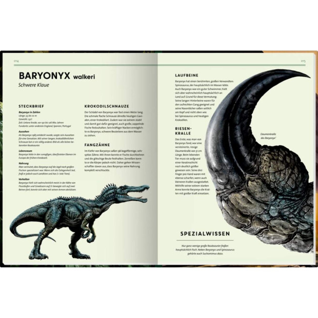 Coppenrath Kinderbuch Lebensgroß - Dinosaurier